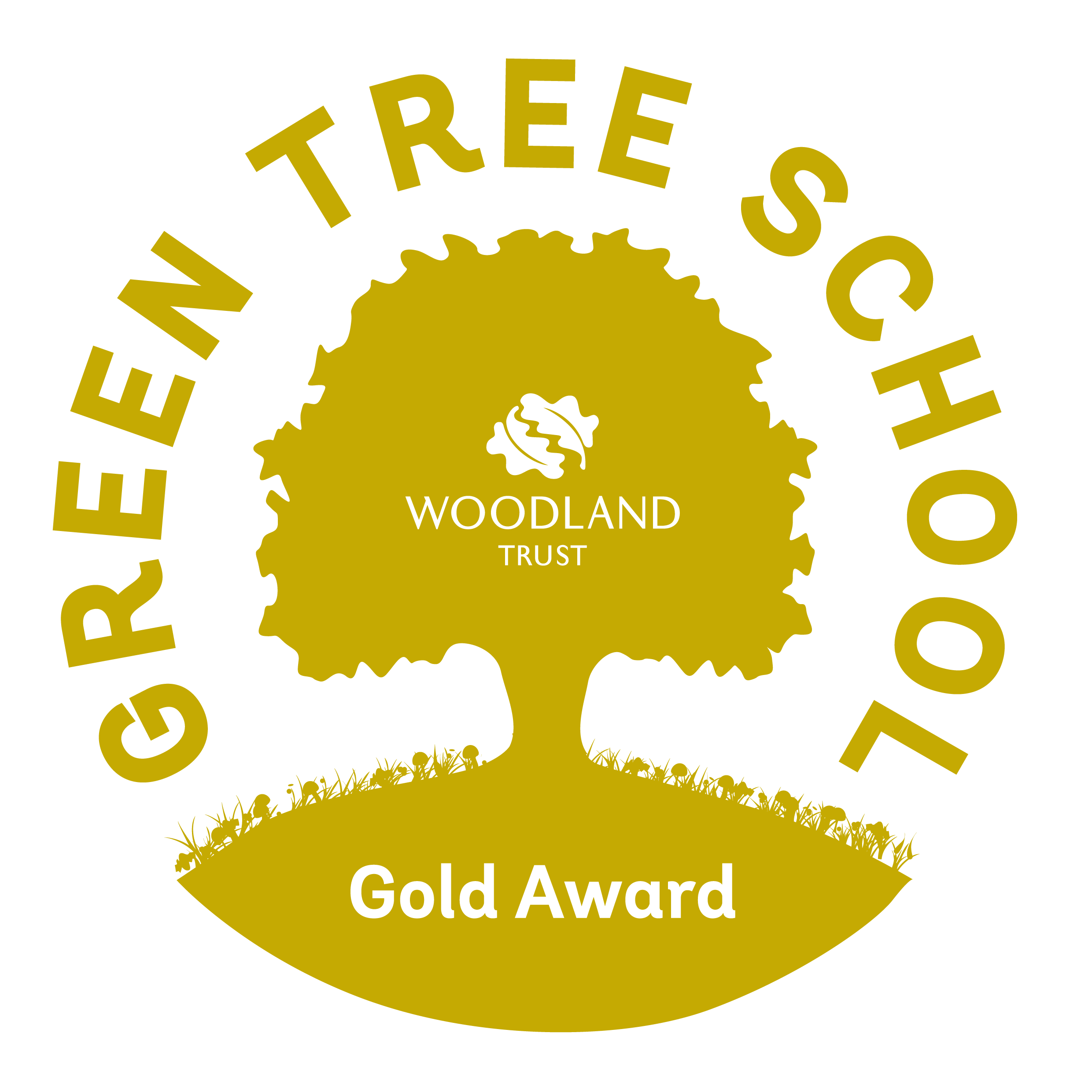 Maidensbridge Primary School - Gold Award Green Tree School